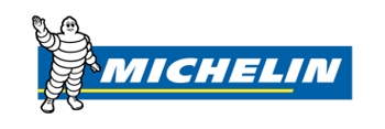 Picture for category Michelin Tire R16
